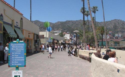 lacruise-catalina.jpg