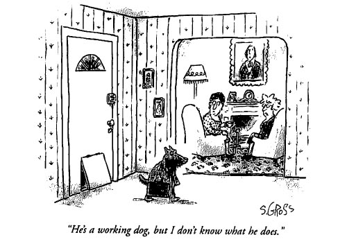 workingdog.jpg