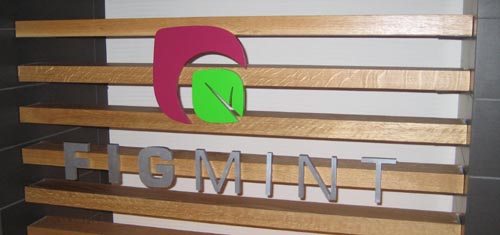 dov-figmint-sign.jpg