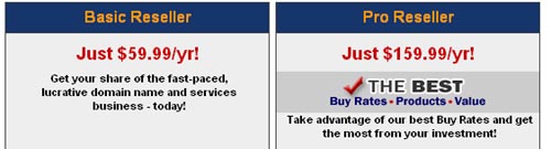 domain59-basicvspro.jpg