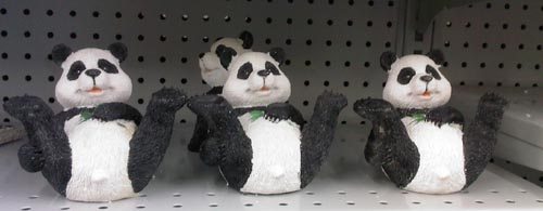 Trio of Dollar Store Pandas John Chow taunted at the dollar store by three flashing pandas
