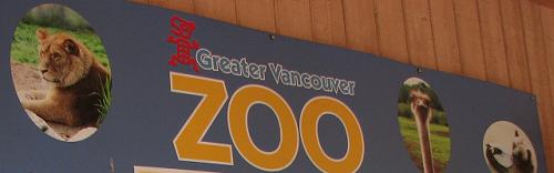 Local Tourist - Greater Vancouver Zoo