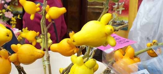 Lunar New Year - Chinese New Year - Year of the Ox