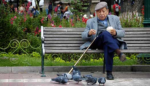 feedingthepigeons