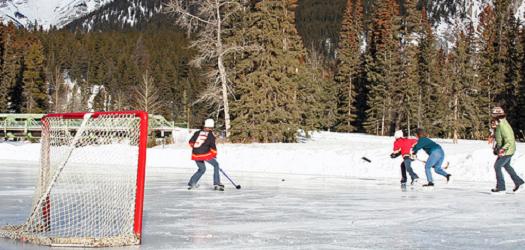 Hockey: Not Everyone is a Flames Fan