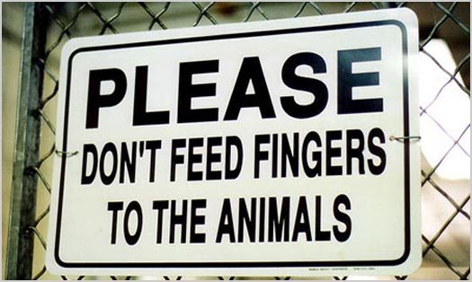 Don't Feed the Animals Don't Feed the Animals