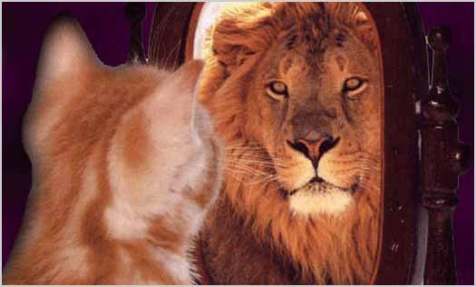 Who defines who you are? Are you a kitten or a lion? Who defines who you are? Are you a kitten or a lion?