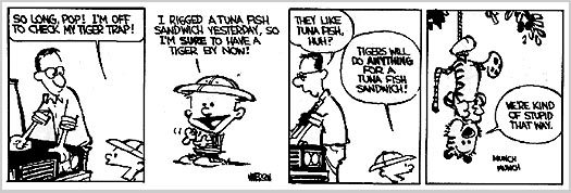 Calvin and Hobbes Inspired Me Calvin and Hobbes Inspired Me