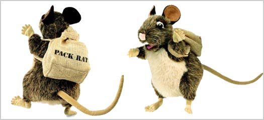 Are You a Pack Rat? Or Do You Trash It All? Are You a Pack Rat? Or Do You Trash It All?