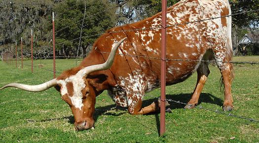 Is the Grass Really Greener on the Other Side? Is the Grass Really Greener on the Other Side?