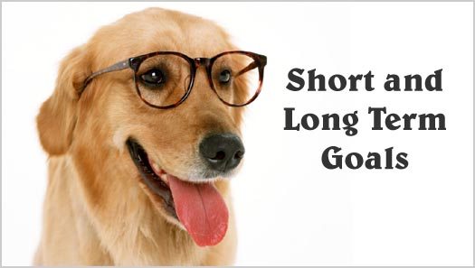 Freelance Conundrum: Short-Sightedness