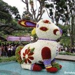 What’s Up Wednesdays: Bunnies and Ravines