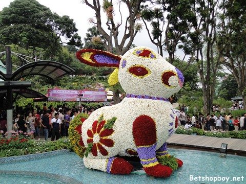 Colorful Bunny by Betshopboy.net
