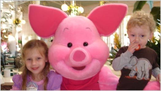 Disney World (Ray Ebersole)