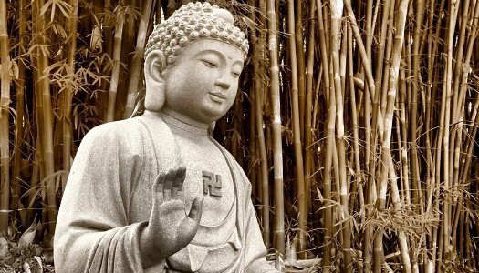 Sunday Snippet: Buddha on Mistakes Sunday Snippet: Buddha on Mistakes