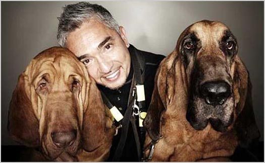 Sunday Snippet: Cesar Millan