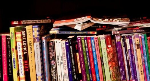 Book Chaos by Sharon Drummond (AKA dolmansaxlil) on Flickr