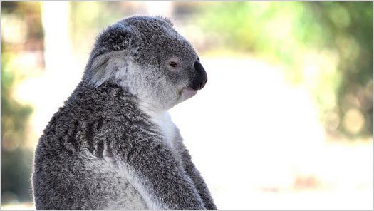 Photo adapted from "I know the feeling !" by Flickr user akeii