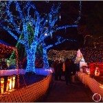 Local Tourist: Bright Nights in Stanley Park