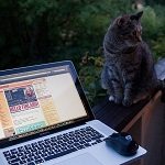Can Freelancers Really Work from Anywhere in the World?