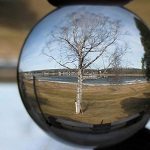 Crystal Ball: My 10 Bold Predictions for 2013