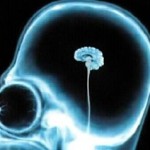 Increasing Brainpower, Improving Memory