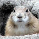 Cute Babies and Animal Antics at Valley Zoo